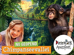 Dierenpark Amersfoort nieuwe bezienswaardigheid is de Chimpanseevallei