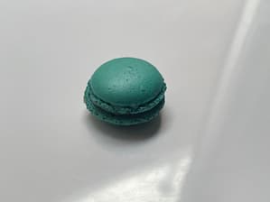 Macaron Bosbes