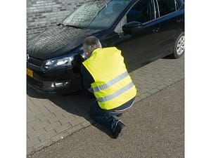 Carpoint Veiligheidsvest Oxford Geel XL