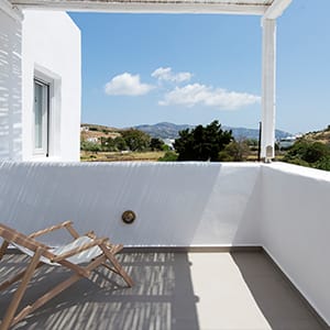 15420131863echinousa30