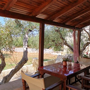 16437241541petrino300x