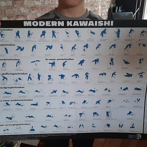 Judo dedemsvaart- Poster