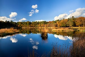 Lees meer over het artikel Vergoeding voor lagere bedrijfswaarde