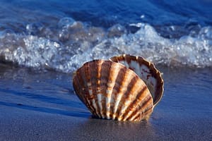 Lees meer over het artikel Commissie belastingheffing multinationals