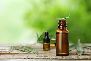 Lees meer over het artikel Door arts voorgeschreven zelf gekweekte cannabis