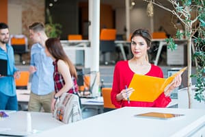 Lees meer over het artikel Gebruikelijkloonregeling niet van toepassing door omvang werkzaamheden