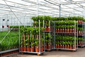 Lees meer over het artikel Specifieke steunmaatregel sierteelt en voedingstuinbouw