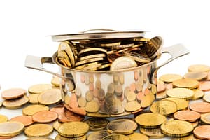 Lees meer over het artikel Kamervragen Tozo voor grensondernemers