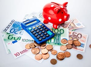 Lees meer over het artikel 30%-regeling