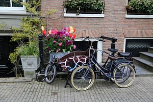 Lees meer over het artikel Verruimingen werkkostenregeling