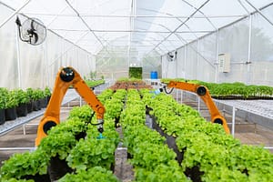 Lees meer over het artikel Willekeurige afschrijving bedrijfsmiddelen 2023