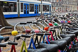 Lees meer over het artikel Ontslag op staande voet vanwege diefstal