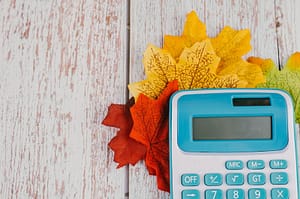 Lees meer over het artikel Tarieven en heffingskortingen 2024