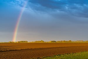 Lees meer over het artikel Evaluatie landbouwvrijstelling