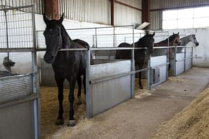 Lees meer over het artikel Omvang terbeschikkingstelling