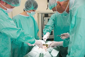 Lees meer over het artikel Hoge Raad oordeelt over btw-heffing voor besnijdenissen