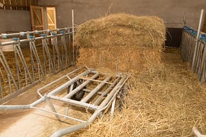 Lees meer over het artikel Vervallen laag tarief omzetbelasting per 1 januari 2025 voor agrarische leveringen