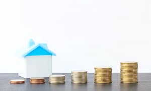 Lees meer over het artikel Excessieve rente op aandeelhoudersleningen doorbreekt fbi-status