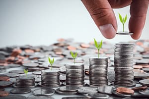 Lees meer over het artikel Saldomethode lijfrente: Wie stelt moet bewijzen