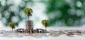 Lees meer over het artikel Kabinet dicht belastinglek in box 3 bij obligaties