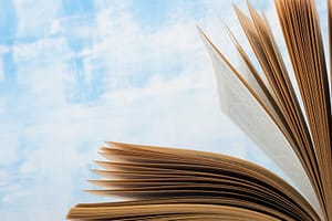 Lees meer over het artikel Handboek Dienst Toeslagen nu voor iedereen beschikbaar