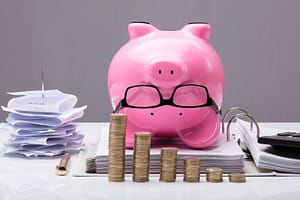 Lees meer over het artikel Openstelling Borgstellingsregeling Vermogensversterkende Kredieten