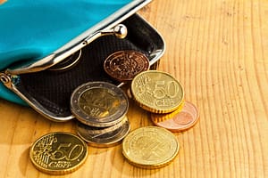 Lees meer over het artikel Gebruikelijk loon lager dan minimumloon