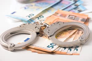 Lees meer over het artikel Wie kan opzettelijk een onjuiste aangifte doen?