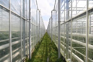 Lees meer over het artikel Termijn aanvraag OVK verlengd