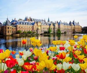 Lees meer over het artikel Tweede Kamer heeft Belastingplan 2022 aangenomen