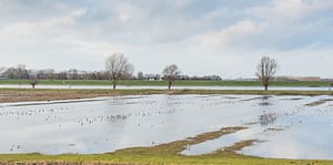 Lees meer over het artikel Subsidieregeling overstromingsschade 2021