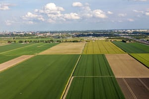 Lees meer over het artikel Regelgeving scheuren grasland