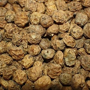 Tijgernoten mix tot 22mm 20kg