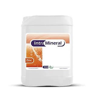 Intra Mineral Zinc