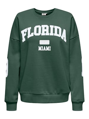 ONLVICTORY L/S O-NECK FIT SWT