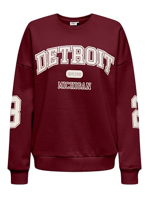 ONLVICTORY L/S O-NECK FIT SWT