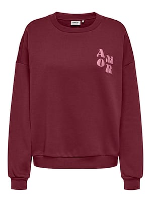 ONLMAREY L/S O-NECK PRINT BOX CS SWT