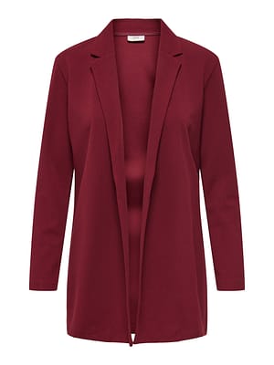 JDYGEGGO LIFE L/S BLAZER JRS NOOS