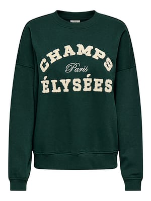 JDYMESA L/S O-NECK EMB SWEAT JRS NOOS