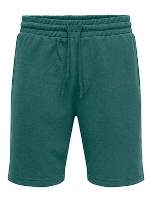 ONSKOSTA REG S SHORTS T