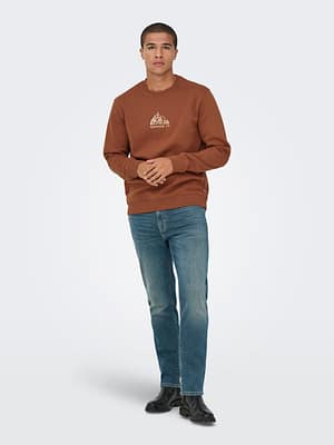 ONSCONNOR SIMPLE LIFE REG LS CREW SWEAT