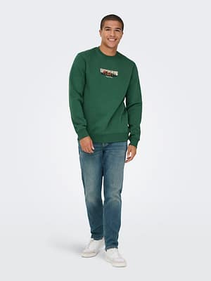 ONSCONNOR SIMPLE LIFE REG LS CREW SWEAT