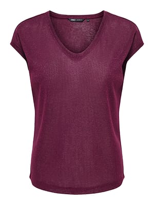 ONLSILVERY S/S V NECK LUREX TOP JRS NOOS