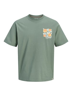 JORBLOSSOM TEE SS CREW NECK WEH