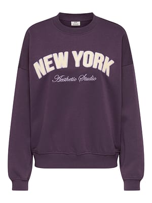 JDYMESA L/S O-NK EMB SWEAT JRS NOOS