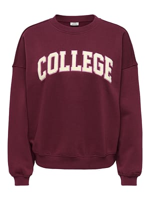 JDYMESA L/S O-NK EMB SWEAT JRS NOOS