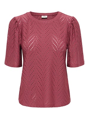 JDYCARLA CATHINKA S/S TOP JRS NOOS