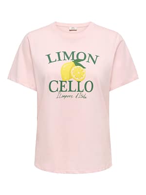 JDYANEMONE S/S PRINTED T-SHIRT JRS EXP