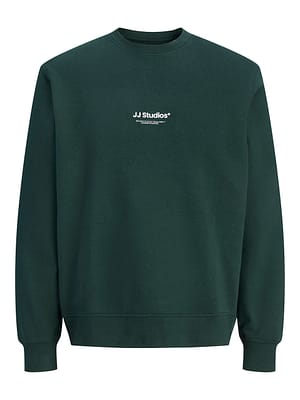 JJESOHO SWEAT CREW NECK NOOS
