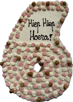 Cijfertaart – hazelnoot – klein